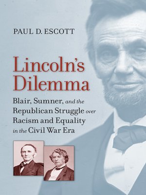 cover image of Lincoln's Dilemma